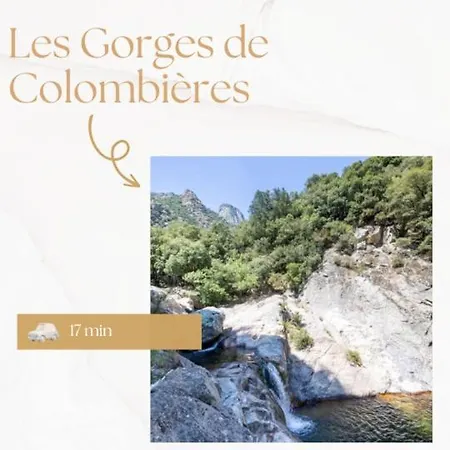Cocon Thermal - 4 Pers - 4 Min Des Thermes - Centre & Parking Apartment *